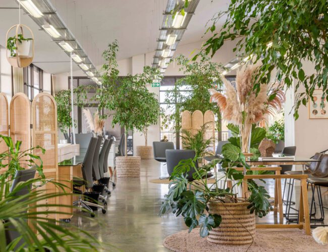 Ecosystem Africa Completed Project Photo